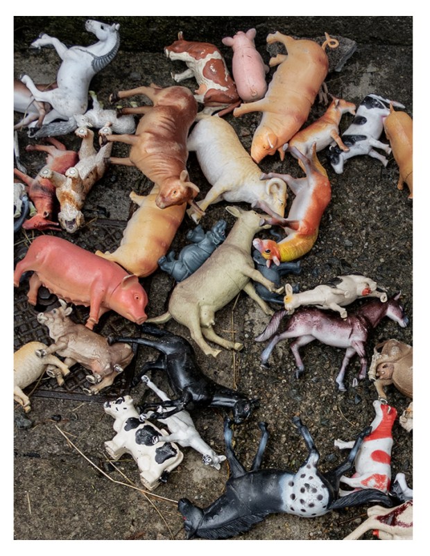 TIME OVER_Paola Macchi